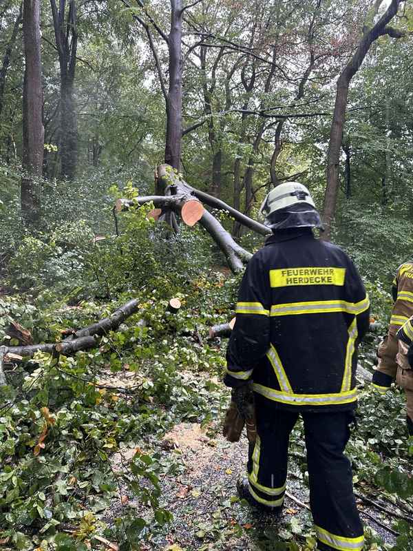 FW-EN: Mehrere Einsätze am Wochenende - Baum blockierte Straße Kemnade