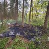 FW-OLL: Kleiner Waldbrand am Montagabend schnell unter Kontrolle