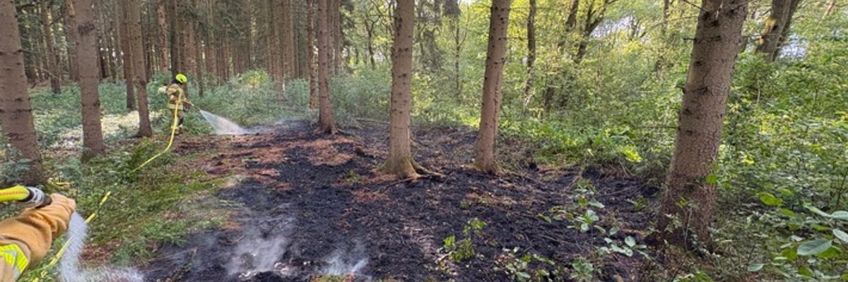FW-OLL: Kleiner Waldbrand am Montagabend schnell unter Kontrolle