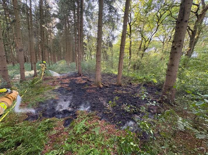 FW-OLL: Kleiner Waldbrand am Montagabend schnell unter Kontrolle