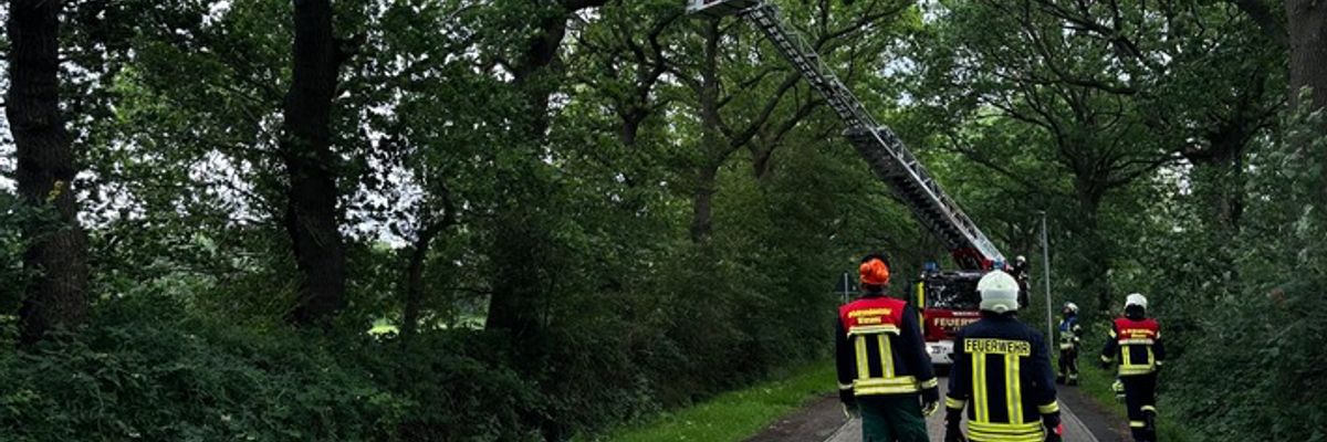 FW-AUR: Teile von Baumkrone absturzbedroht