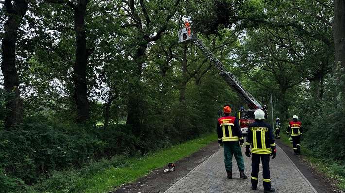 FW-AUR: Teile von Baumkrone absturzbedroht