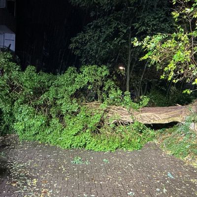 FW-BO: Sturmtief "Luise" sorgt für weitere wetterbedingte Einsätze
