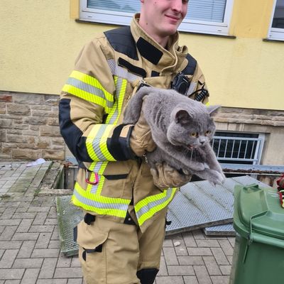 FW-EN: Feuerwehr rettet Katze