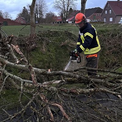 FW-AUR: Umgestürzter Baum blockiert Straße