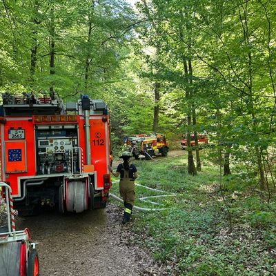 FW Stuttgart: Waldbrand auf 6.500 Quadratmetern in Stuttgart-Rohracker