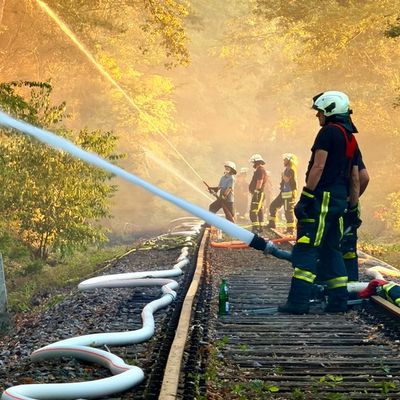 FW LK Neunkirchen: Großflächiger Waldbrand am Wingertsweiher fordert mehrere hundert Einsatzkräfte über zwei Tage