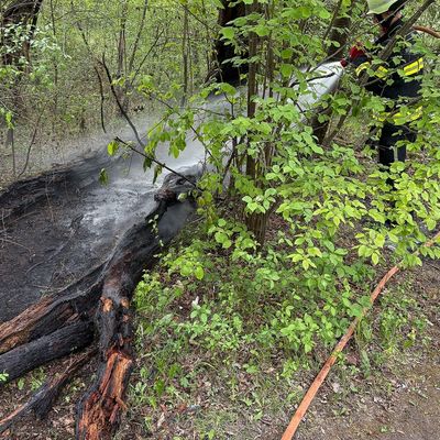 FW-M: Feuer in der Langwieder Heide dank Drohne schnell gelöscht