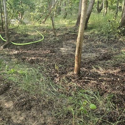 FW-PI: Vegetationsbrand auf der Elbinsel Pagensand - Aufwendiger Einsatz über Wasserwege