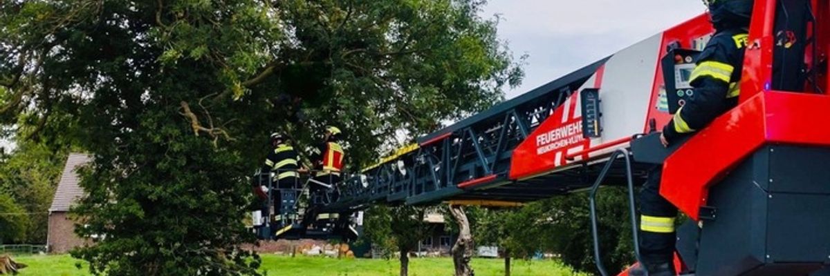FW Neukirchen-Vluyn: Gleitschirmflieger in Baum - Feuerwehr rettet Person aus sieben Metern Höhe