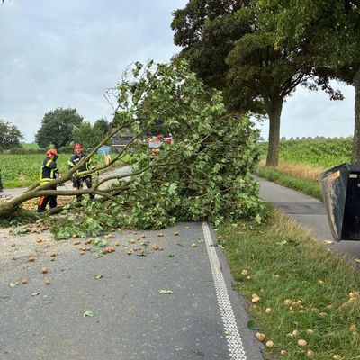 FW-KLE: Verkehrsunfall mit Traktorgespann - Baum stürzt auf Fahrbahn
