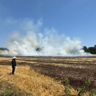 FW-Erkrath: Feuerwehr Erkrath bekämpft Flächenbrand von rund 9.000 m²
