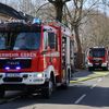 FW-E: Brand einer Gartenlaube im Hinterhof - Feuerwehr verhindert Brandausbreitung