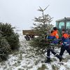 FW Weinheim: Hand in Hand durch Regen und Schnee. Jugendfeuerwehr sammelt Christbäume in den Weinheimer Ortsteilen