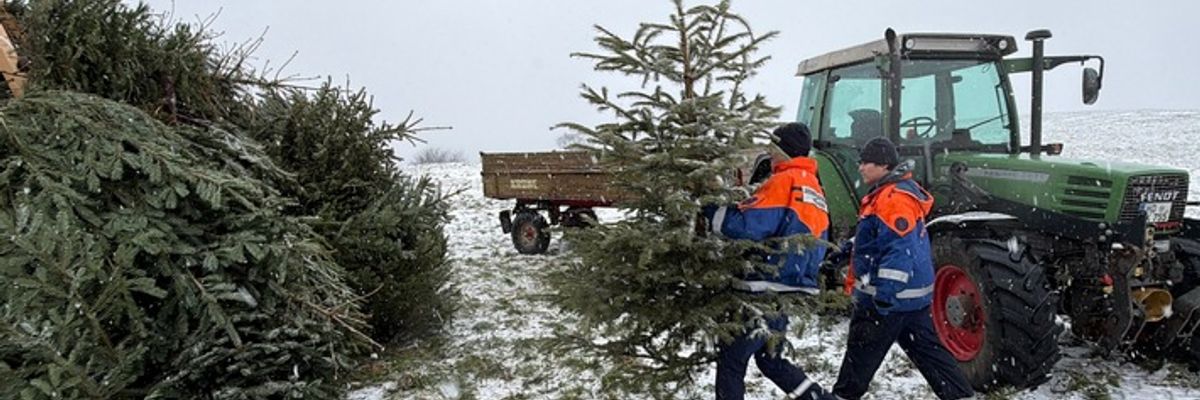 FW Weinheim: Hand in Hand durch Regen und Schnee. Jugendfeuerwehr sammelt Christbäume in den Weinheimer Ortsteilen