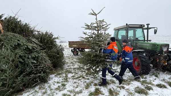 FW Weinheim: Hand in Hand durch Regen und Schnee. Jugendfeuerwehr sammelt Christbäume in den Weinheimer Ortsteilen