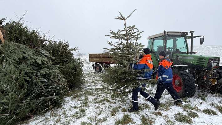 FW Weinheim: Hand in Hand durch Regen und Schnee. Jugendfeuerwehr sammelt Christbäume in den Weinheimer Ortsteilen