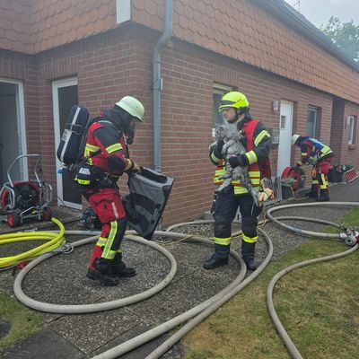 FW Bad Segeberg: Brand eines Anbaus in voller Ausdehnung - zwei Katzen gerettet