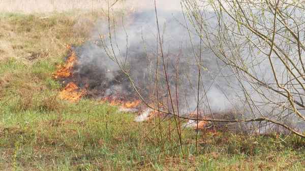 FW Celle: Vegetationsbrand, Verkehrsunfall, Feuer in einer Garage - drei Einsätze innerhalb von 30 Minuten!