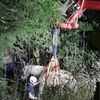 FW Lage: Pferd aus Bachlauf gerettet - aufwändiger Tierrettungseinsatz in Oetternbach