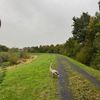 FW-DO: Jungschwan in Dortmund-Scharnhorst aus misslicher Lage befreit