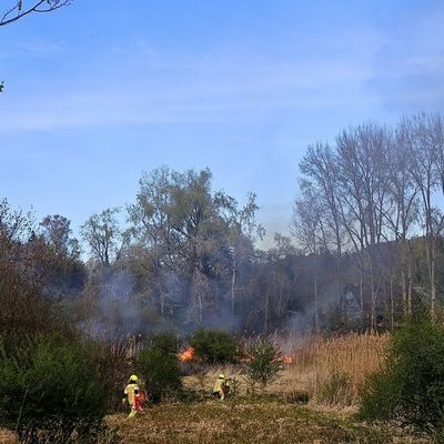FW Konstanz: Vegetationsbrand