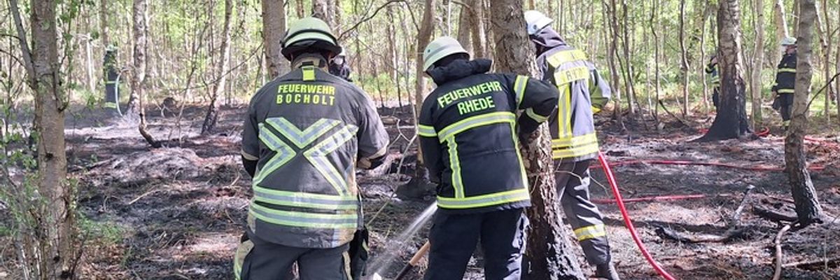FW Bocholt: Waldbrand in Bocholt - Barlo