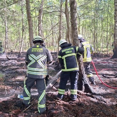 FW Bocholt: Waldbrand in Bocholt - Barlo