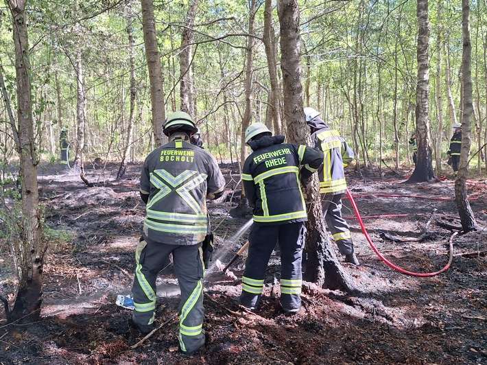 FW Bocholt: Waldbrand in Bocholt - Barlo