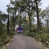 FFW Schwalmtal: Umgestürzter Baum auf dem Harikseeweg