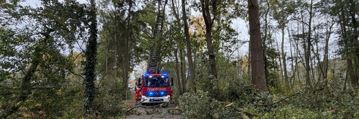FFW Schwalmtal: Umgestürzter Baum auf dem Harikseeweg