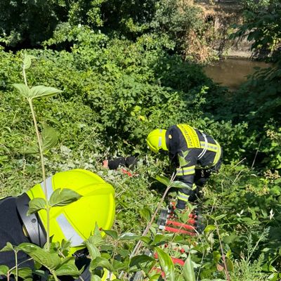 Feuerwehr MTK: Vier Einsätze bei extremer Hitze: Feuerwehr Hattersheim am Main gefordert