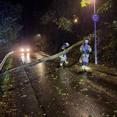 FW Weinheim: Umgestürzter Baum blockiert Straße in Nächstenbach. Feuerwehr Weinheim beseitigt Sturmschaden in den frühen Morgenstunden.