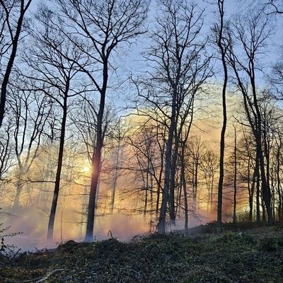 FW-MK: Waldbrand in Letmathe