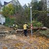 FW-EN: Baum stürzt auf Straße - Einsatzstelle wurde ungewöhnlich beschrieben - Anwohner stehen der Feuerwehr im Weg.