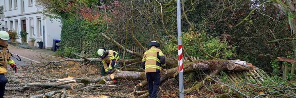 FW-EN: Baum stürzt auf Straße - Einsatzstelle wurde ungewöhnlich beschrieben - Anwohner stehen der Feuerwehr im Weg.