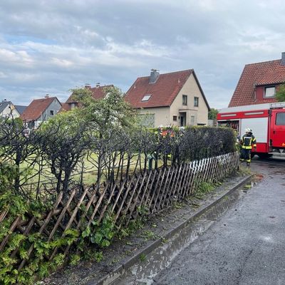 FW Celle: Aufmerksame Nachbarn verhindern Brandausbreitung - Heckenbrand am Nachmittag!