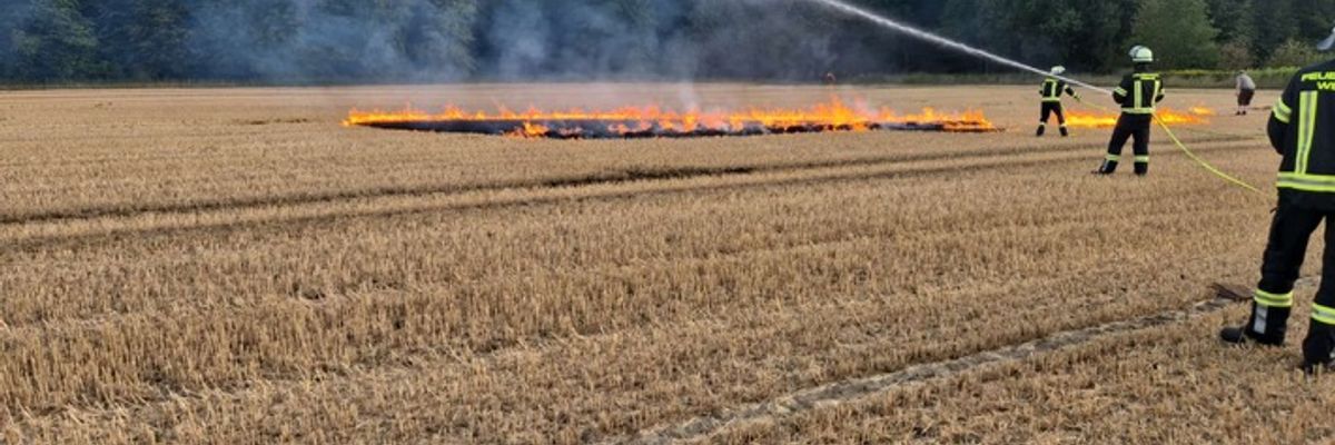 FW-WRN: Freiwillige Feuerwehr Werne übt Vegetationsbrandbekämpfung