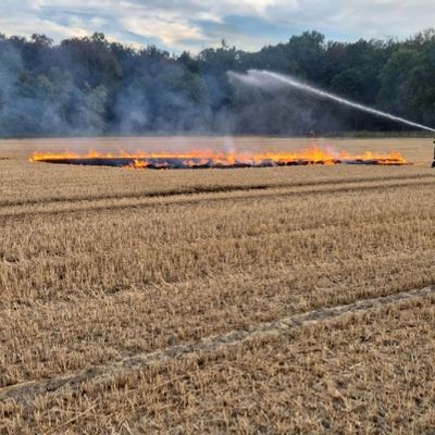 FW-WRN: Freiwillige Feuerwehr Werne übt Vegetationsbrandbekämpfung