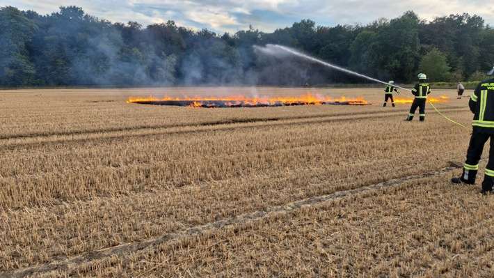 FW-WRN: Freiwillige Feuerwehr Werne übt Vegetationsbrandbekämpfung