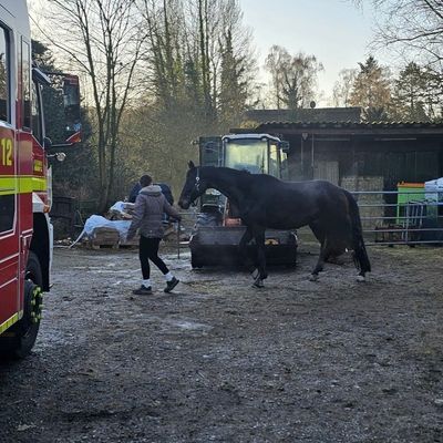 FW-MH: Tier in Notlage - Technische Hilfeleistung durch die Feuerwehr