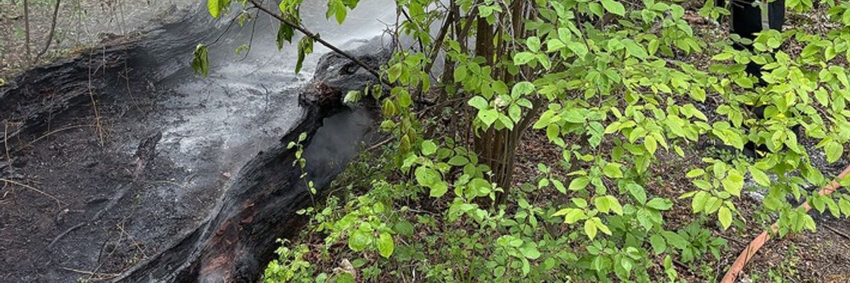 FW-M: Feuer in der Aubinger Lohe dank Drohne schnell gelöscht (Lochhausen)