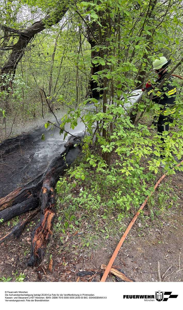 FW-M: Feuer in der Aubinger Lohe dank Drohne schnell gelöscht (Lochhausen)