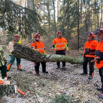FW Lehrte: "Achtung - Baum fällt" - Stadtfeuerwehr Lehrte bildet 11 neue Motorsägenführer*innen aus