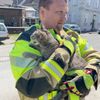 FW Lage: TH0/Tier klein: Katze klemmt im gekippten Fenster - 10.05.2025 - 11:27 Uhr