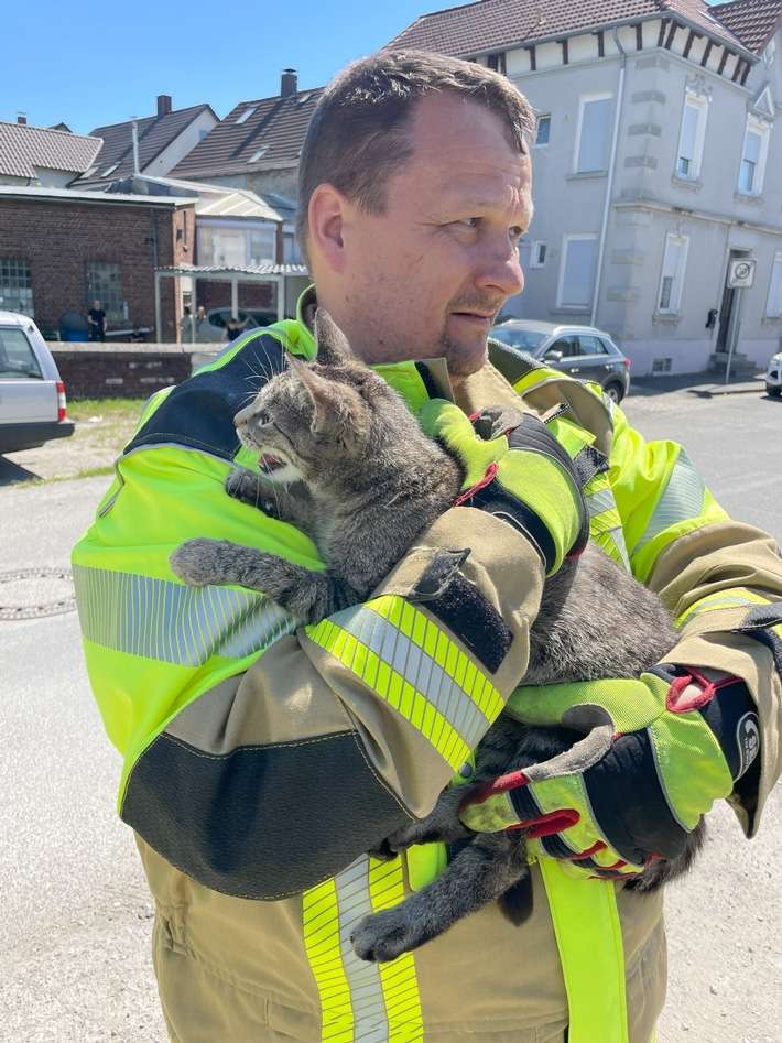 FW Lage: TH0/Tier klein: Katze klemmt im gekippten Fenster - 10.05.2025 - 11:27 Uhr