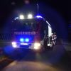 FW Reichenau: Feuerwehr löscht Schilfbrand von zwei Seiten, Reichenau-Oberzell, 05.04.2025