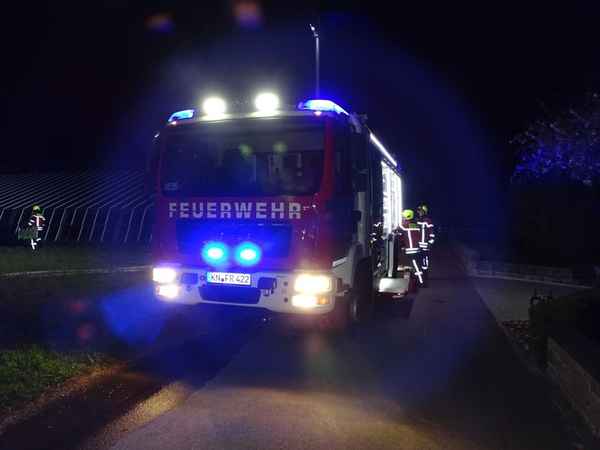 FW Reichenau: Feuerwehr löscht Schilfbrand von zwei Seiten, Reichenau-Oberzell, 05.04.2025