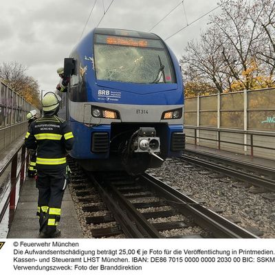 FW-M: Regionalzug kollidiert mit Baum (Giesing)