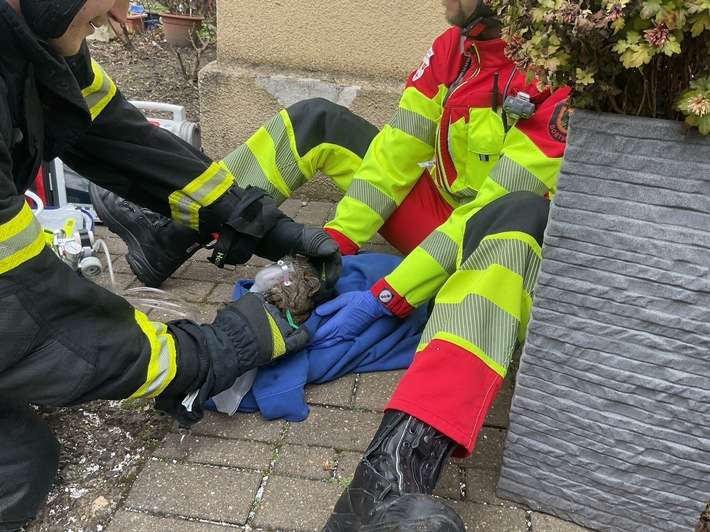 FW-DO: Frau verstirbt bei Zimmerbrand in Dortmund-Derne